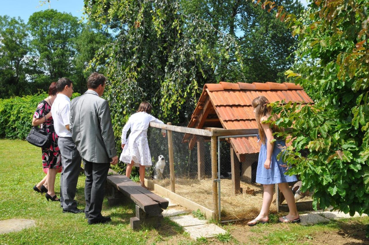 Gostisce - Guest House Stari Hrast Ljutomer Eksteriør billede